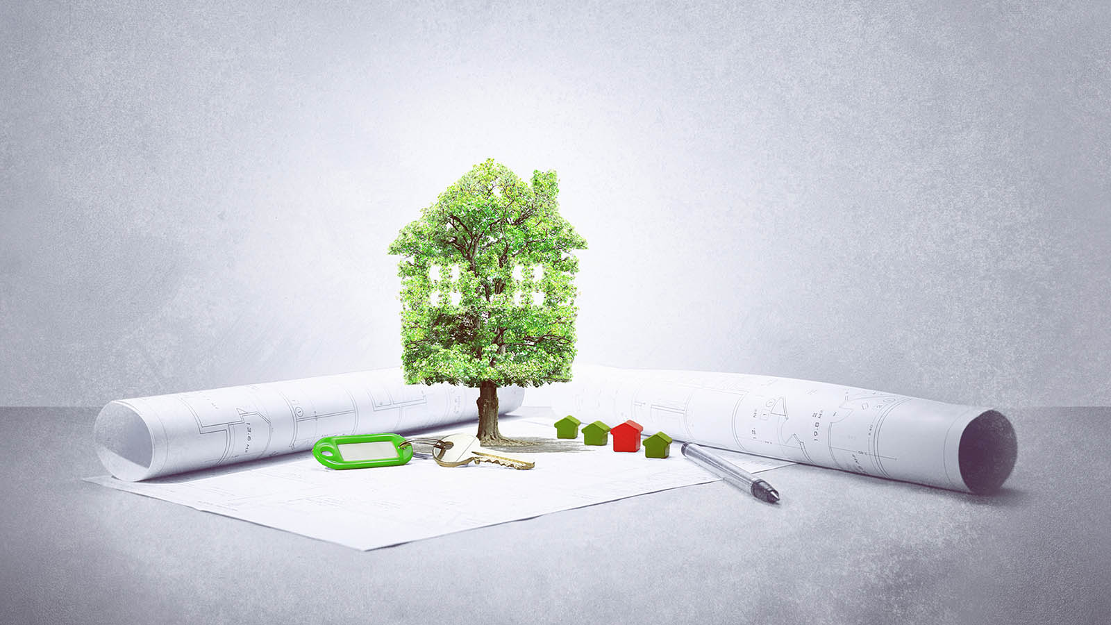 projet immobilier,maison écologie,arbre